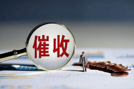 宜川融资清欠服务